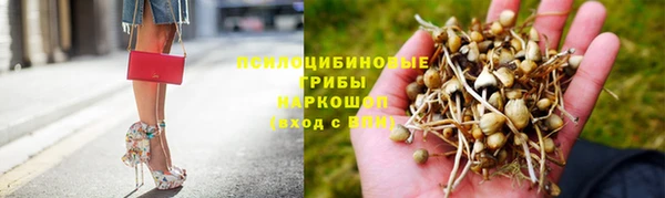 крисы Покровск
