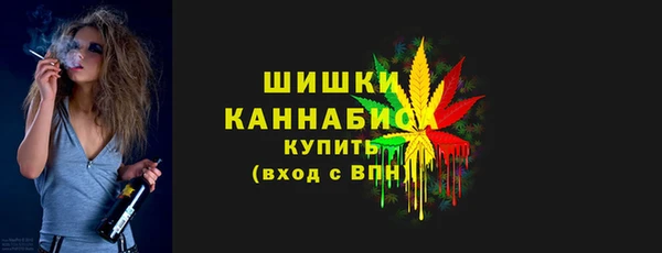 стаф Покачи